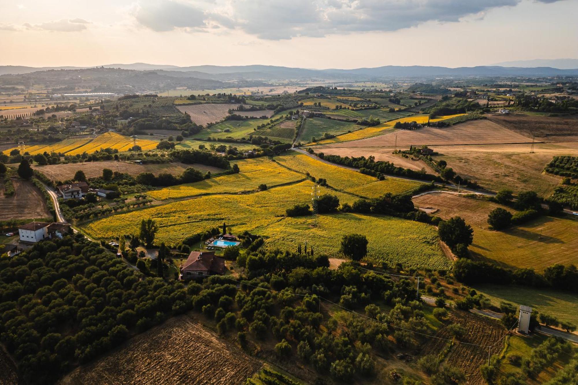 Villa Le Belle Giornate Foiano Della Chiana Exteriér fotografie
